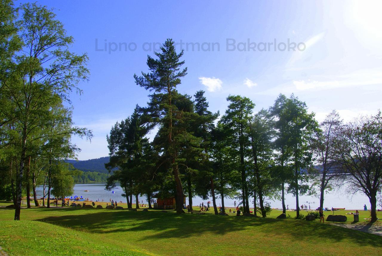 Bakarloko Lipno Apartments Lipno nad Vltavou Exteriér fotografie