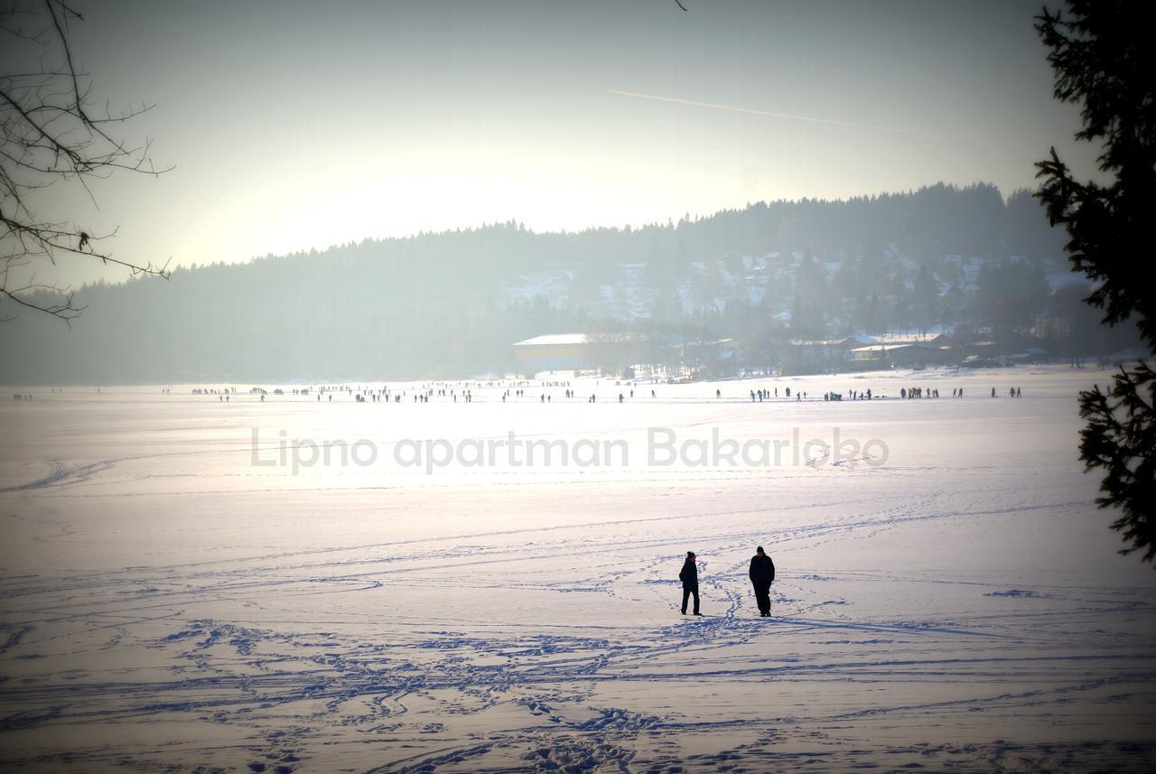 Bakarloko Lipno Apartments Lipno nad Vltavou Exteriér fotografie